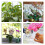 Bâton de plante de jardin pliable, 20 pièces, avec Support à 4
