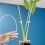 Bâton de plante de jardin pliable, 20 pièces, avec Support à 6