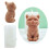 Moules à bougies en forme de chat, en Silicone, pour décorations 2
