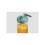 Nutribullet Frullatore Nutribullet FLEX portatile - Verde NBP013GR 6