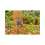 Gardena Programmateur d'arrosage GARDENA Water Control Easy 3
