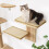 Natural Wood Wall Mounted Sisal Pad Double Layer Cats Perches 4