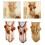 Macrames Handwovens Wall Hanging Tapestrys Bohemian Leaf-Type A 3