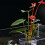 Fishtanks Planter Cup Holder Hanging Aquarium Planter Support 7