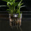Fishtanks Planter Cup Holder Hanging Aquarium Planter Support 6