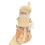 Wasserflasche mit Griff, praktischer-850ML 1