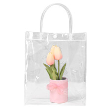 Durchsichtige PVC-Geschenktüte mit Griff, kleine-15x20x7cm
