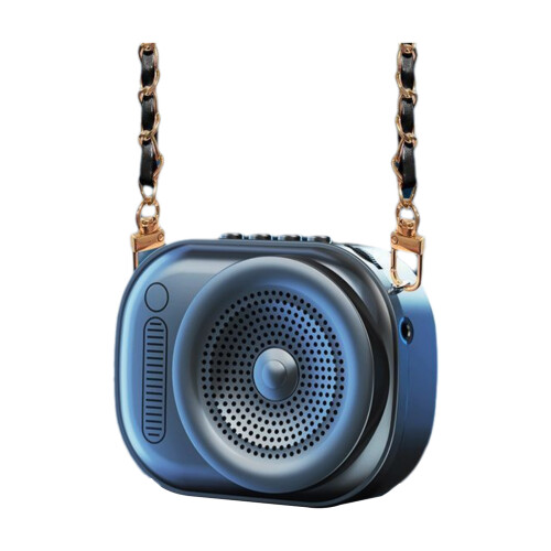 Professional Voice For Instructors Trainers Portable-Black