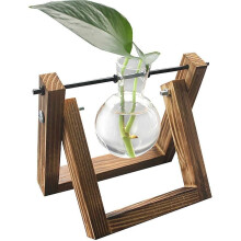 Belleza artística, hierba cola de conejo seca, flor real que aporta un toque de naturaleza a la decoración de tu hogar, flor eterna perfecta para
