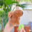 Ergonomischer Capybara-Plüsch-Schlüsselanhänger, leicht-style1 7