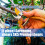 Hedge Shears Garden Shears Tree Loppers Hedge Shears Pruning 2