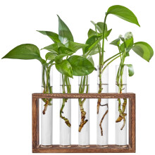 Test Tube Propagation Station Wall Hanging Glass Planter (5 Tubes)