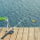 Fishing Float 50 Pcs Floating Bobber Set, Round Float Indicators, Weight 1.4g13.6g, Size 1.95cm 2