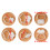 Distinctive Cookie Stamp Cookie Molds Perfect for Party-boy 4
