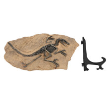 Dinosaurier-Skelett, Fossilienfigur, Kunstharz,