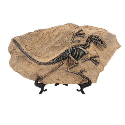 Dinosaurier-Skelett, Fossilienfigur, Kunstharz, 1