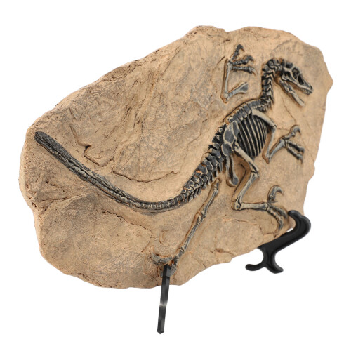 Dinosaurier-Skelett, Fossilienfigur, Kunstharz, 2