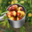 Outil de sélection de fruits non ternis pour une-Avec couvercle 7