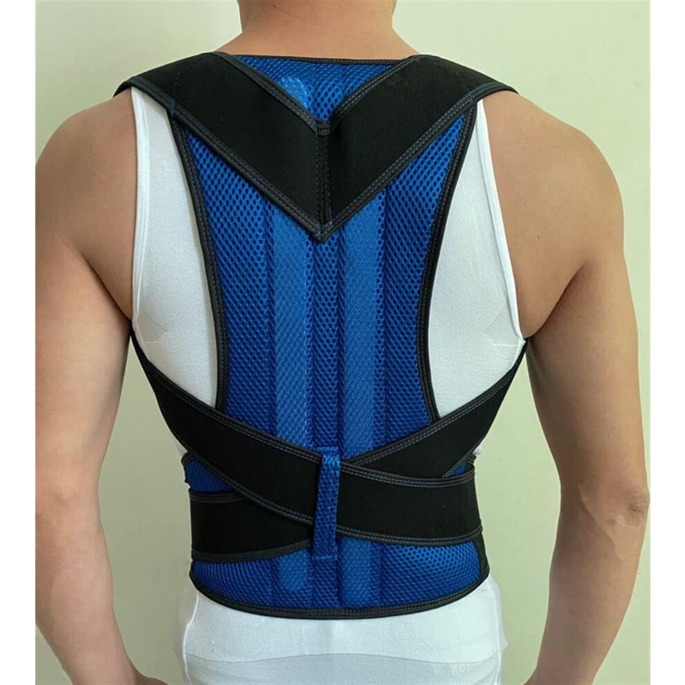 Blue Back Corrector Posture Corrector Back Support Belt, Adjustable Waist Trainer, Lumbar Spine Brace For Adults, 4XL