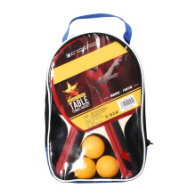 Professional Table Tennis Table Tennis Bats with 3 Balls Ping Pong Racket Training Table Tennis Bat