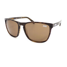 Superdry Ichi Sunglasses Dark Brown Horn with Dark Brown CAT.3 Lenses 101