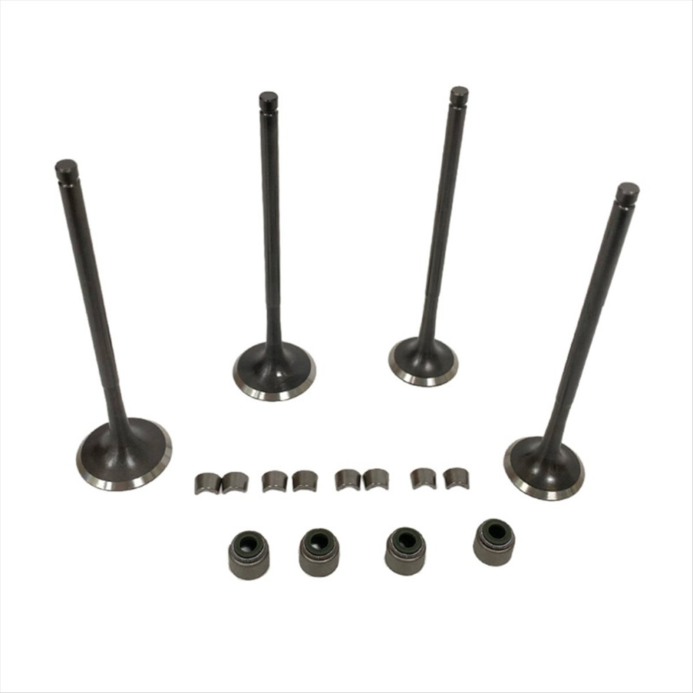 Intake & Exhaust Valves For Zongshen Nc250 Zs177mm 250Cc Dirt Bike Bse T6 Bse Rx3 Zs250gy-3 4854107149065