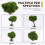 13cm Fine Scale Green Model Tree Wire Trunk Simulation Tree for Mountain Scenery Train Railway Layout 6