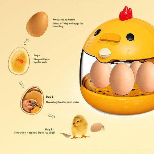 Egg Incubator with Transparent Window Automatic Temperature 5 Manually Control Control Turn the Humidity Eggs Eggs Q6b9 1