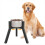 Suporte para tigelas de cães de porte médio a grande, com largura ajustável, para tigelas elevadas de 18 a 27 cm (7 a 10,6 polegadas). 2