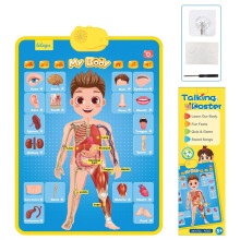 Interactive Educational Toy Sound Poster for Kids English-AG03