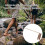 Dowsing Rod with Wood Handle for Water Witching Paranormal 3