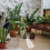 3 Pack Vegetable Forming Tools Fruit Moulds Plant Shaping 6