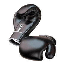 Boxing gloves, heavy punching bag, training for adults, black