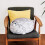 Λούτρινο παιχνίδι Kawaii Room Decor, λούτρινο παιχνίδι με παχουλό σχέδιο φώκιας με 7