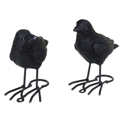 Modèles de corbeau réalistes, ensemble de 2 figurines d'oiseaux