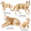 Figurines d'animaux éducatives, ensemble de 4 pièces,-Blanc 4