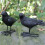 Modèles de corbeau réalistes, ensemble de 2 figurines d'oiseaux 4