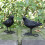 Modèles de corbeau réalistes, ensemble de 2 figurines d'oiseaux 5