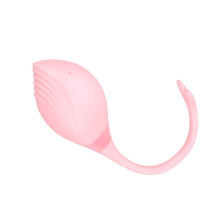 Vibrator Vibrating Egg, Heating Vibrator, App Remote Control, Anal Plug, 9 Speeds, Pink Sex Toys For Women