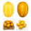 Fruits de melons de simulation de cantaloup artificiel-Type A 3