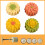 Flower Pattern Mooncakes Molds Cookie Stamps Hand Pressure 5