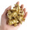 12Pcs Small Poultry Animals Models Figurines Learning Figure Toy 2