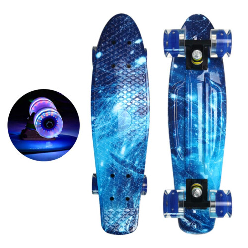 22' Skateboard Flashing Wheel Fish Skate Board blue Ref: 2478