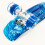 22' Skateboard Flashing Wheel Fish Skate Board blue Ref: 2478 5