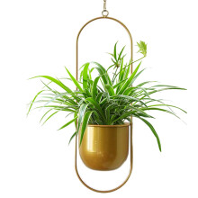 Hanging planter, Planting blanket Indoor hanging planters Metal chlorophytum Succulent planter, decorative ornament for home balcony