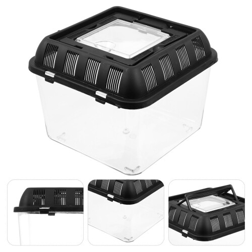 Reptielen Broedbox Transparant Spinazie Voederbak 1