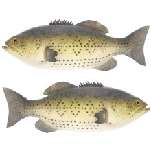 2Stk Simulation Fischfiguren PU Material Deko Für Zuhause