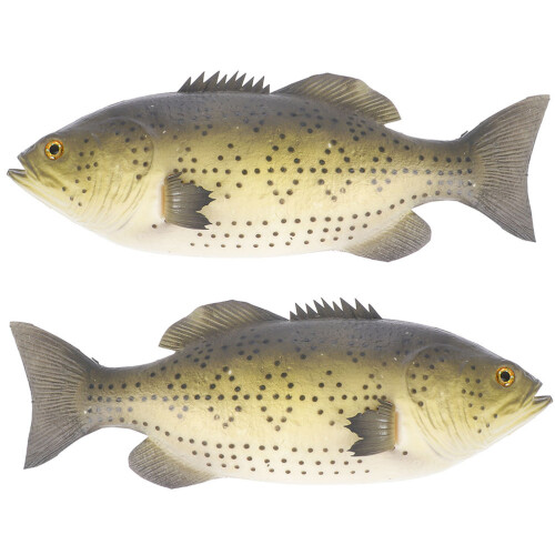 2Stk Simulation Fischfiguren PU Material Deko Für Zuhause