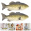 2Stk Simulation Fischfiguren PU Material Deko Für Zuhause 9