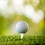 10 Kleine Golf Multi Voor Gezinnen 11